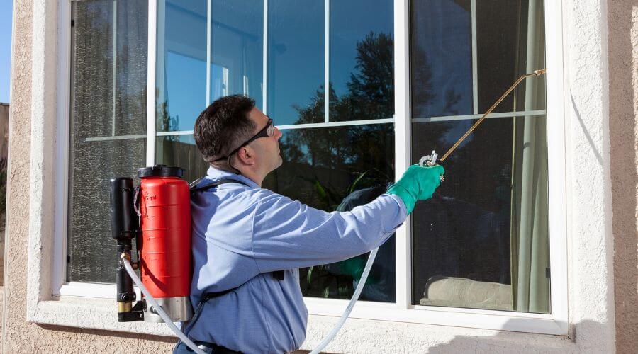 Professional pest control services in Madison - FixLux